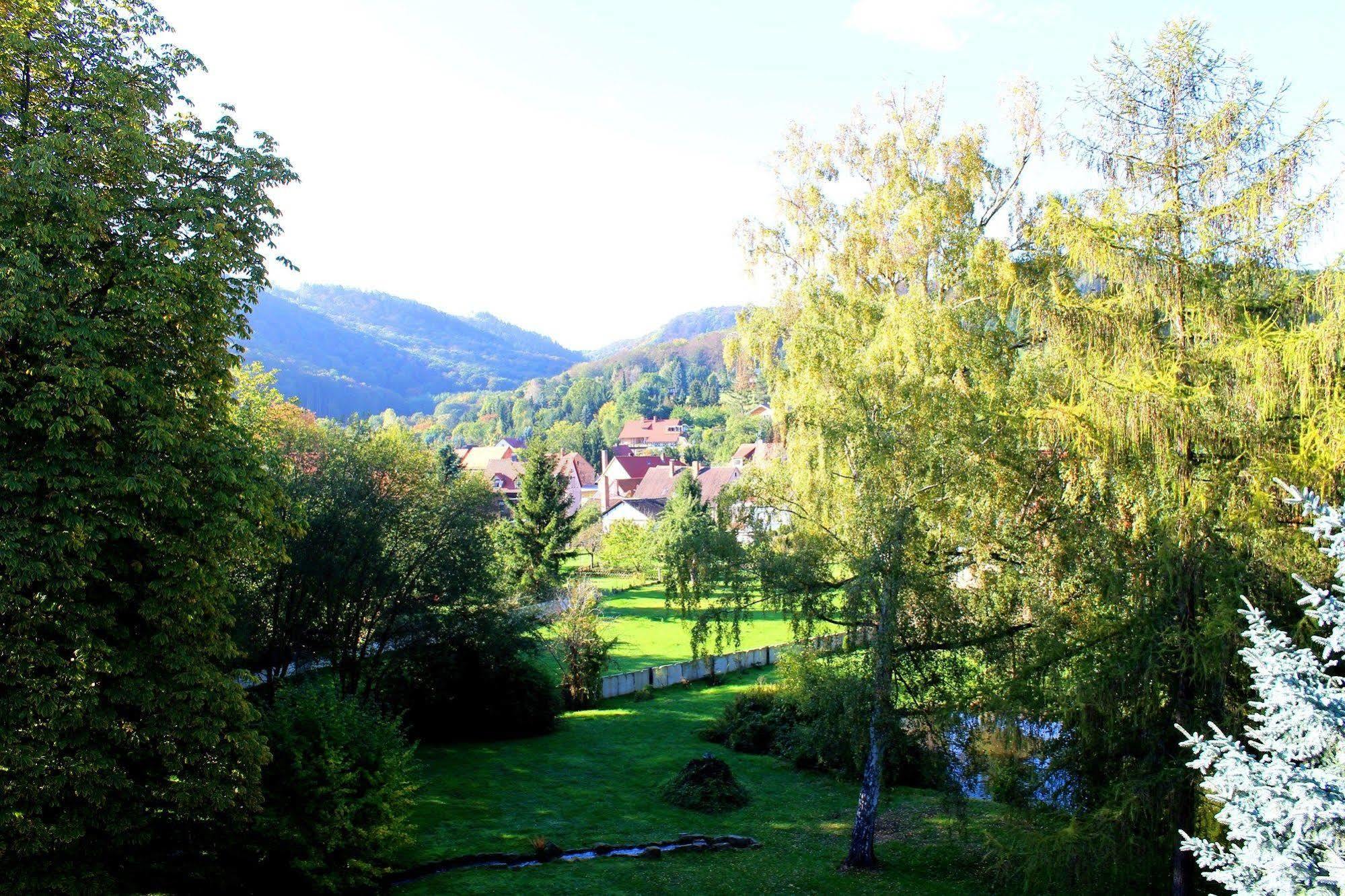 Schlosshotel Stecklenberg Thale Zewnętrze zdjęcie
